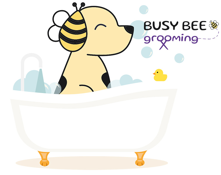 Busy Bee Grooming branding